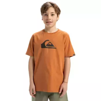 EV Comp Логотип Quiksilver Детская футболка, коричневый