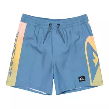 Everyday Holmes 14" Quiksilver детские плавательные шорты, серо-голубой
