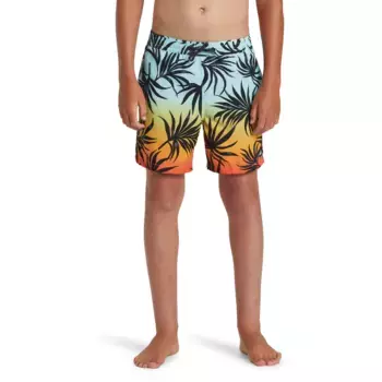 Everyday Mix Volley Quiksilver детский купальник, многоцветный