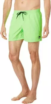 Ежедневный 15-дюймовый волейбол Quiksilver, цвет Green Gecko