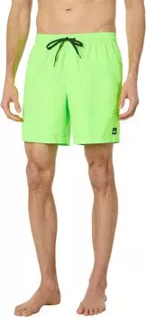 Ежедневный 17-дюймовый волейбол Quiksilver, цвет Green Gecko