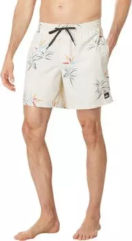 Ежедневный микс 17 дюймов волейбол Quiksilver, цвет Birch