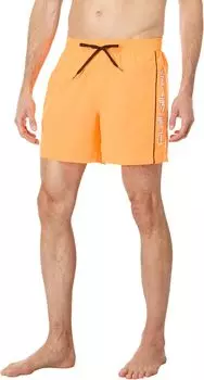 Ежедневный верт 16 дюймов волейбол Quiksilver, цвет Orange Pop