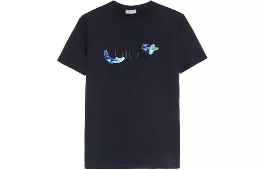 Ежеквартальные новинки Футболка мужская черная Dior, черный