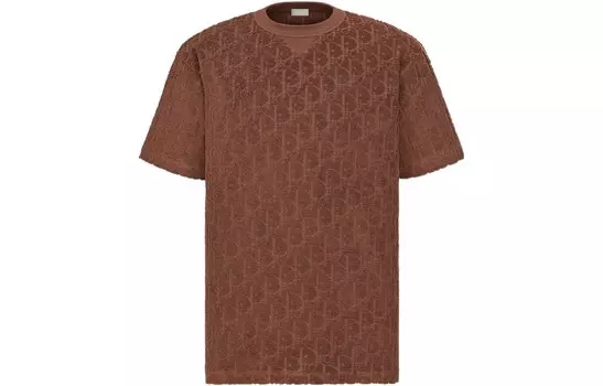Ежеквартальные новинки Футболка мужская коричневая Dior, коричневый