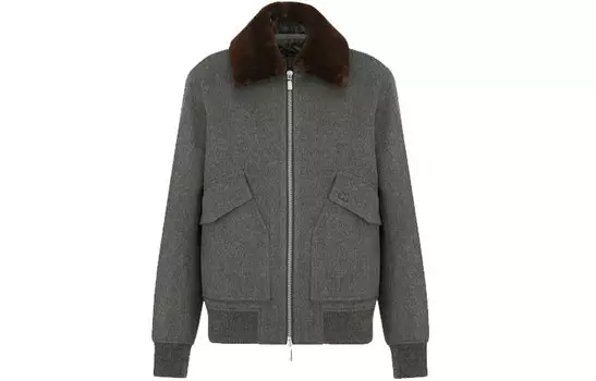 Ежеквартальные новинки Куртка мужская серая Dior, серый