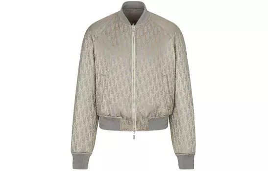 Ежеквартальные новинки Куртка мужская серая Dior, серый