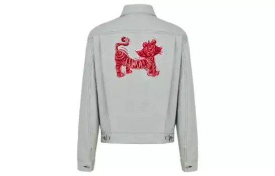 Ежеквартальные новинки Куртка мужская серая/синяя Dior, серый/синий