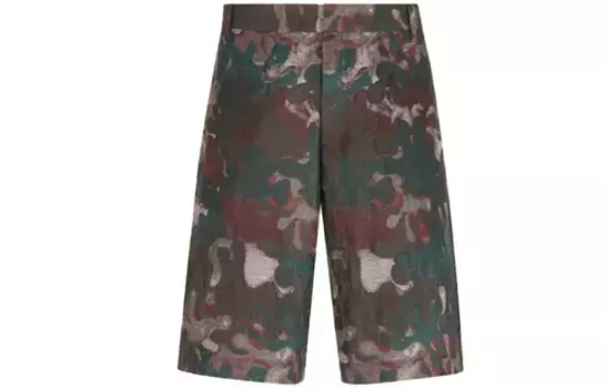 Ежеквартальные новинки Повседневные шорты Мужские Многоцветные Dior, цвет Multicolor