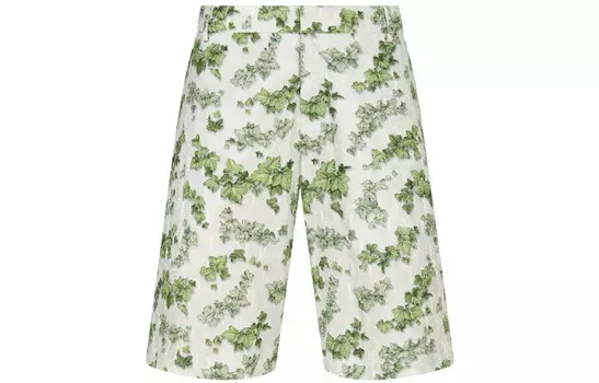 Ежеквартальные новинки Повседневные шорты Мужские Зеленые Dior, зеленый