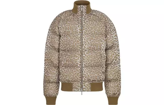 Ежеквартальные новинки Пуховик мужской бежевый Dior, бежевый