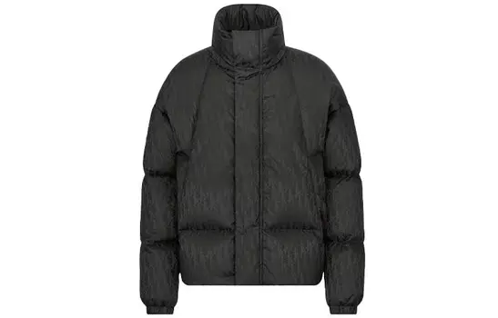 Ежеквартальные новинки Пуховик мужской черный Dior, черный