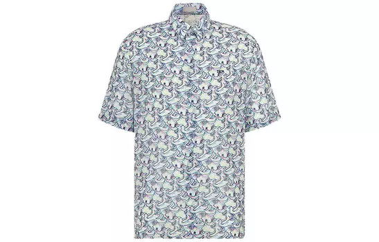 Ежеквартальные новинки Рубашка мужская многоцветная Dior, цвет Multicolor