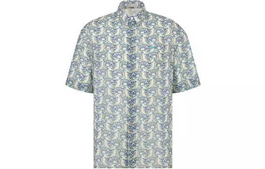 Ежеквартальные новинки Рубашка мужская многоцветная Dior, цвет Multicolor