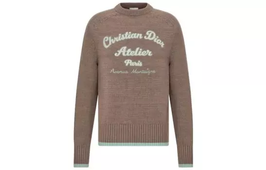 Ежеквартальные новинки свитер мужской коричневый Dior, коричневый
