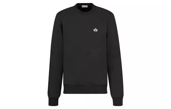 Ежеквартальные новинки Толстовка мужская черная Dior, черный