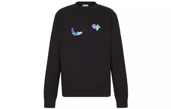 Ежеквартальные новинки Толстовка мужская черная Dior, черный