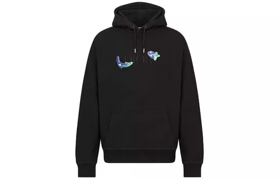 Ежеквартальные новинки Толстовка мужская черная Dior, черный