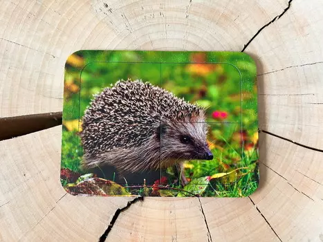 Ежик, деревянный пазл с четырьмя элементами, основа с подписью, первый пазл Inna marka