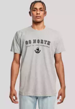 F4NT4STIC Футболка "Go North", принт, серый