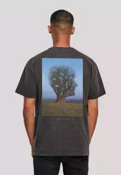 F4NT4STIC Футболка "Pink Floyd Oversize", принт, черный