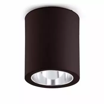 Faro Pote-1 Накладной монтаж Черный 1л E27 60Вт