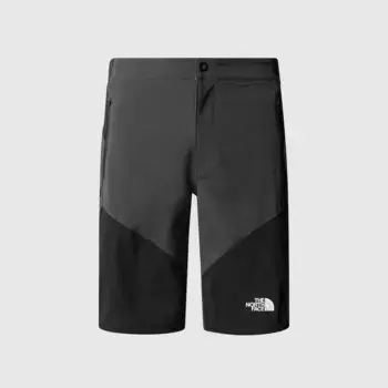 Felk The North Face мужские узкие зауженные шорты, серый