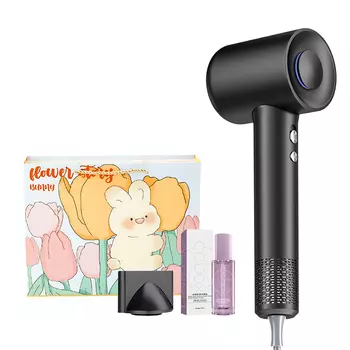 Фен для волос Aux, Mirror Black [Limited Bunny Gift Bag + Wind Nozzle + Essential Oil]