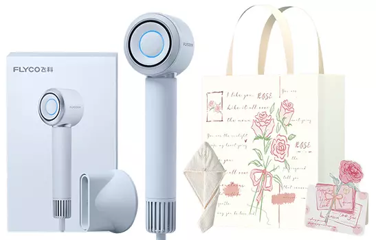 Фен для волос FH6371 1600Вт с холодным и горячим воздухом Flyco, FH6371 Starry Sky Grey Daily Flying Set