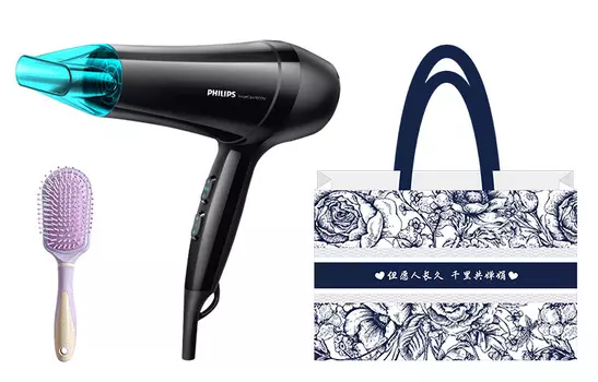 Фен для волос Philips, HP8132 (Long Gift Bag Care Kit)