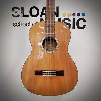 Fender FA-15N 3/4 нейлоновая гитара с сумкой-натуральный FA-15N 3/4 Nylon
