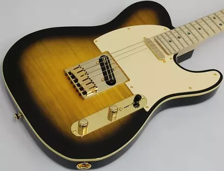 Fender Richie Kotzen Telecaster, Brown Sunburst