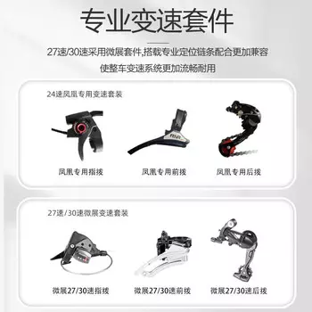 Феникс (Феникс) мужской и женский студенческий молодежный велосипед с регулируемой скоростью для гонок по бездорожью, горный велосипед для взрослых, городской велосипед для мужчин и женщин Phoenix