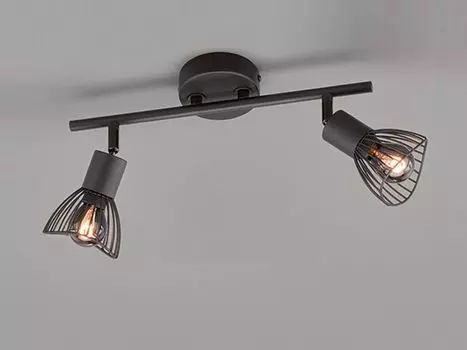 ФХЛ легко! JESS Потолочный точечный светильник с 2 лампами и решетчатыми абажурами FHL easy, черный