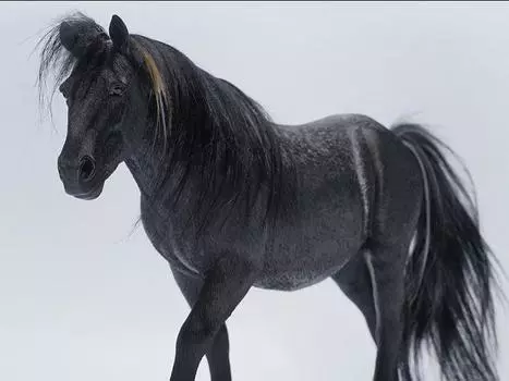 Фигурка Mongolian Horse (A2) 1/6 Scale Figure Jxk.Studio