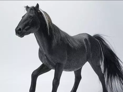 Фигурка Mongolian Horse (B2) 1/6 Scale Figure Jxk.Studio
