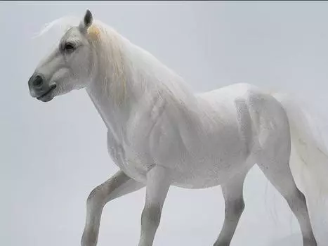 Фигурка Mongolian Horse (B3) 1/6 Scale Figure Jxk.Studio