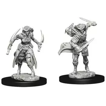 Фигурки Dungeons & Dragons: Nolzur’S Marvelous Unpainted Miniatures: Tiefling Female Rogue (Wave 7) WizKids