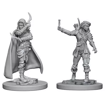 Фигурки Pathfinder Deep Cuts Unpainted Miniatures (Wave 1): Human Female Rogue WizKids