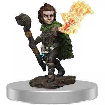 Фигурки Pathfinder Painted Premium: Male Gnome Druid WizKids