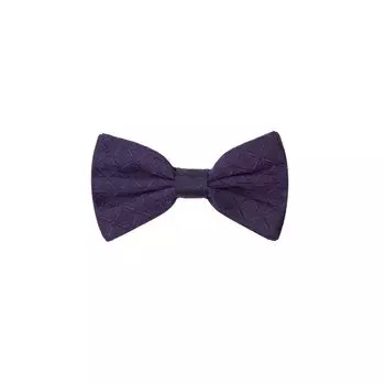 Фиолетовые шелковые галстуки и бабочки Dolce & Gabbana