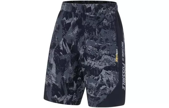 Фитнес Серия Повседневные Шорты Мужские Черные Lining, черный