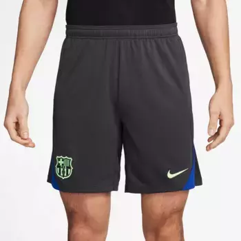 ФК Барселона мужские шорты 2024-2025 Strike Third Nike, серый