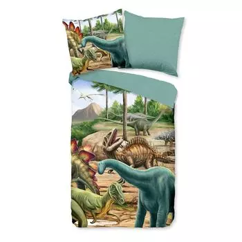 Фланелевое постельное белье Dream Sleep Dinos multi 135х200 см + 80х80 см Traumschlaf