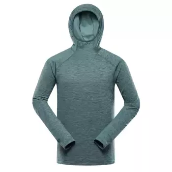 Флис Alpine Pro Rolt hoodie, зеленый