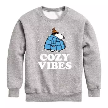 Флис для мальчиков 8–20 лет Peanuts Cozy Vibes Snoopy Licensed Character, серый