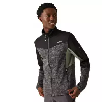 Флис Regatta Coladane VI, серый