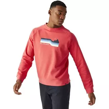 Флис Regatta Nithdale, оранжевый