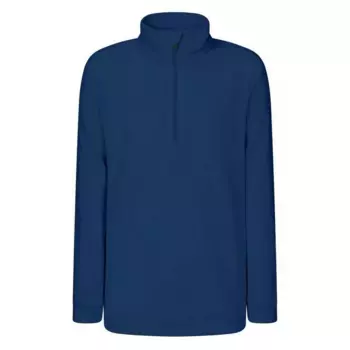 Флис Rock Experience Tempus half zip, синий