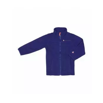 Флисовая куртка для девочки Peak Mountain Facesare, синий